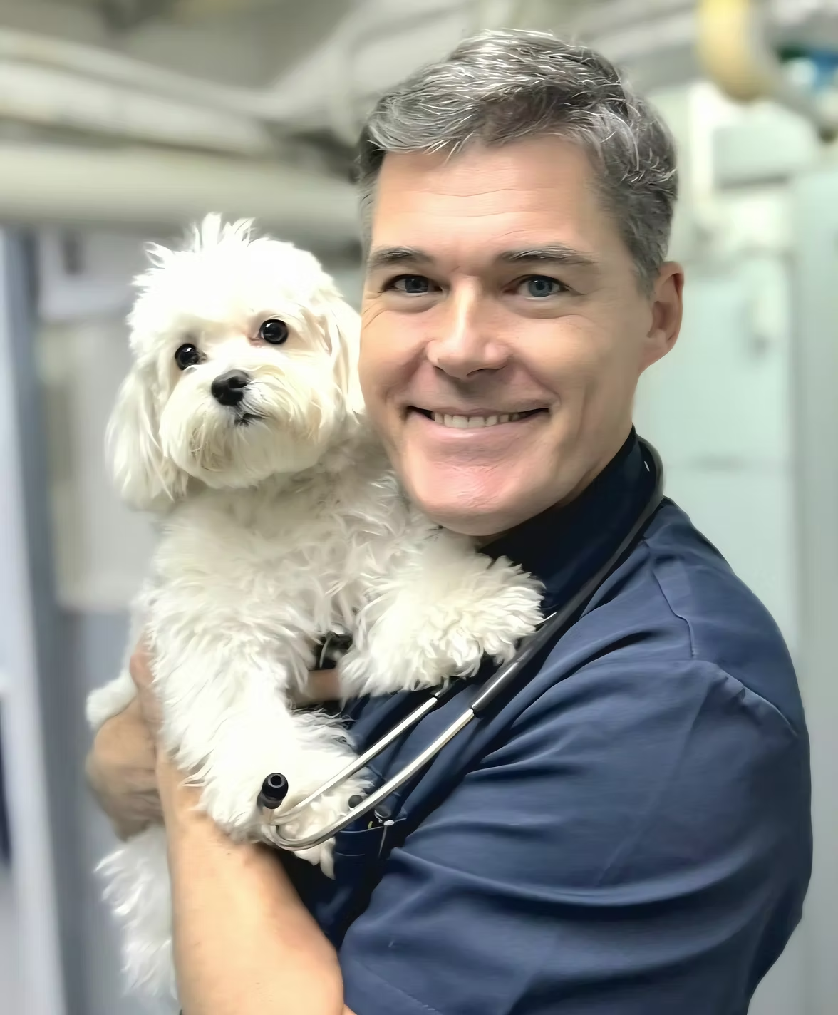 Dr François Saulnier